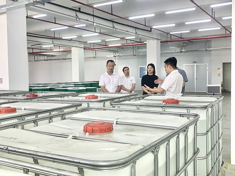 政企连心·共促发展|东莞市东城区政府领导莅临bg视讯新材参观指导